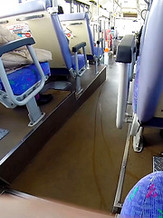Japanese public pissing